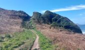 Trail Walking Plestin-les-Grèves - GR_34_EG_35_Plestin-Greves_Locquirec_20250430 - Photo 20