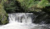 Tour Wandern Gimel-les-Cascades - Gimel - Photo 8