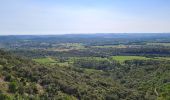 Randonnée Marche Sauve - Sauve-Quissac-Vidourle - Photo 11