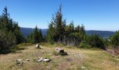 Tour Wandern Markirch - Col des Bagenelles et les deux Brézouard - Photo 14