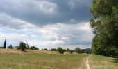 Trail Walking Montélimar - montelimar autour du roubion - Photo 14