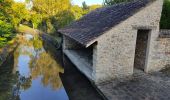 Tour Wandern Cély - Les lavoirs de Cély et Fleury en Bière - Photo 1