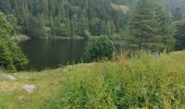 Tocht Stappen Orbey - randonnée des 3 lacs, lac noir , lac blanc et lac du former ( lac des truites) Vosges  - Photo 6