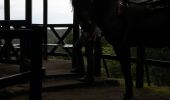 Trail Horseback riding Métairies-Saint-Quirin - rond pré baronnie kiosque point de vue  - Photo 9