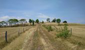 Percorso Marcia Molompize - Cantal - Molompize - Aurouze et Suc de Védrines - 17.7km 770m 7h05 - 2019 07 02 - Photo 8