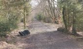 Tour Wandern Libramont-Chevigny - Laneuville 180221 - Photo 5