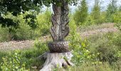Trail Walking Rendeux - Marcouray - Photo 9