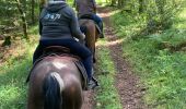 Trail Horseback riding Bertrimoutier - Restaurant belle vue col de sainte marie Tivio  - Photo 2