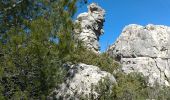 Trail Walking La Roquebrussanne - la roquebrussanne - Photo 11