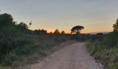 Tour Wandern Torroella de Montgrí - Ermita de Santa Caterina - Photo 1