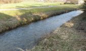 Tour Zu Fuß Pommelsbrunn - Hohenstadt Rundweg 1 - Hasen-Markierung - Photo 3