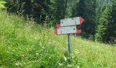 Tour Wandern Val di Zoldo - Pecol - Col Grant - Spiz Zuel - Photo 4