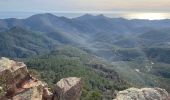 Trail Walking Saint-Raphaël - Les Suvières depuis Belle Barbe - Photo 9