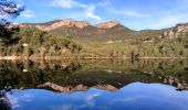 Tocht Stappen Le Revest-les-Eaux - La ripelle - barrage - Ragas - Olivières - Puit - Fourmis - Grottes de sable - Chateau Tourris - Mont combes - Touravelle - Chateau Ripelle                  - Photo 13