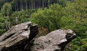 Excursión Senderismo Libin - Promenade de la Lesse (8,6km)   - Photo 17