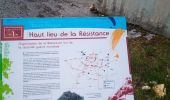Trail Walking Ivrey - Mont POUPET SALINS LES BAINS - Photo 13