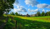 Tour Wandern Philippeville - Balade à Jamagne - Photo 14