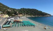Trail Walking Levanto - Levanto - Bonasola - Photo 1