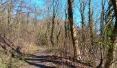 Trail Walking Liège - st Martin . Bernalmont . parc Reine Astrid . retour  - Photo 14