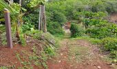 Randonnée Marche La Trinité - Anse Cosmy - Anse Azerot - Photo 16