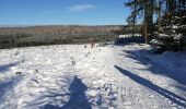 Tour Wandern Libramont-Chevigny - Bonance en hiver - Photo 1