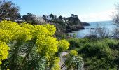 Randonnée Marche Cancale - Cancale - Pointe du Grouin  - Photo 7