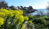 Trail Walking Cancale - Cancale - Pointe du Grouin  - Photo 7