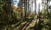 Trail On foot Unknown - Jungfrusundsåsen 10km motionsspår - Photo 5