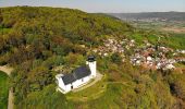 Tocht Te voet Forchheim - Zielwanderweg Forchheim- Reifenberg - Photo 6