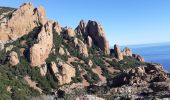 Excursión Senderismo Saint-Raphaël - Pic d'Aurelle-Pic du Cap Roux - Grotte St Honorat depuis col Belle Barbe - Photo 3