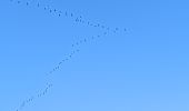 Tour Wandern Vauchassis - Randonnée Bucey 18022025 - Photo 1