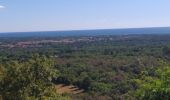 Tour Wandern Argelès-sur-Mer - nd de vie inn - Photo 4