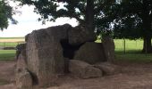 Tocht Stappen Durbuy - Les Dolmens de Wéris  - Photo 11