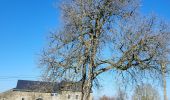 Trail Walking Bouillon - Vivy 140223 - Photo 5