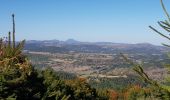 Tocht Stappen Valbeleix - AUVERGNE  MARCENAT (63) - Photo 6