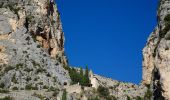 Tocht Te voet Moustiers-Sainte-Marie - Moustier- Vincel - Photo 5