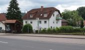 Percorso A piedi Gutsbezirk Kaufunger Wald - Kaufunger Wald, Rundweg 11 - Steinberg - Photo 2