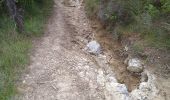 Trail Walking Crest - Grane jour 3 - Photo 2