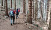 Tour Wandern Chaudeyrolles - Chaudeyrolles Mont Signons 06-09-2020 - Photo 13