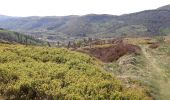 Randonnée Vélo électrique Ramonchamp -  la ferme auberge du Felsach depuis Ramonchamp (l'etraye) - Photo 9