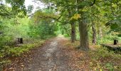 Trail Walking Hoeilaart - Grœnendael ouest + arboretum 9,8 km - Photo 10