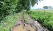 Randonnée Marche Nivelles - Monstrueux 21.4 km - Photo 10