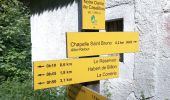 Tocht Stappen Saint-Pierre-de-Chartreuse - Correrie_Col de la Ruchère_Petit Som_Col de l'Echaud_Pas du Loup - Photo 6