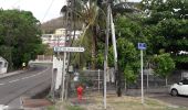 Tour Wandern Les Trois-Îlets - l'Anse a l'Ane- l'anse-ravine al-re en Q - Photo 5
