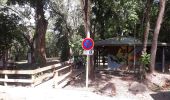 Tocht Stappen Les Trois-Îlets - Forêt Vatable-Maison de la canne-petite boucle  - Photo 2