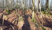 Trail Walking Maraye-en-Othe - Maraye,Nogent,Vosnon,Puiseaux,Chenu,Chamsicourt - Photo 15