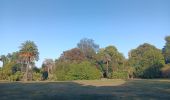 Tocht Stappen Saint-Cyprien - jardin des plantes de Saint cyprien  - Photo 3