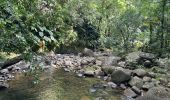 Tour Wandern Petit-Bourg - Boucle de la rivière Quick - Photo 2