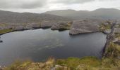 Tour Wandern West Cork - Hungry Hill - Photo 10