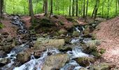 Trail Walking Spa - les eaux au sud de Spa  - Photo 12
